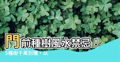 門前枯樹 風水|5種門前樹風水禁忌要注意